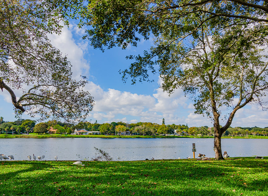 1013 5th St N, Unit 2 - Crescent Lake Studio in St. Petersburg, FL - Foto de edificio