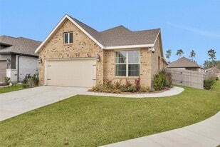 15619 Rising Wren Ct in Woodloch, TX - Building Photo