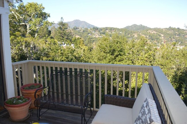 11 Kilmer Ct in Mill Valley, CA - Building Photo - Building Photo