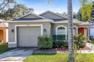 8703 Morrison Oaks Ct in Tampa, FL - Building Photo
