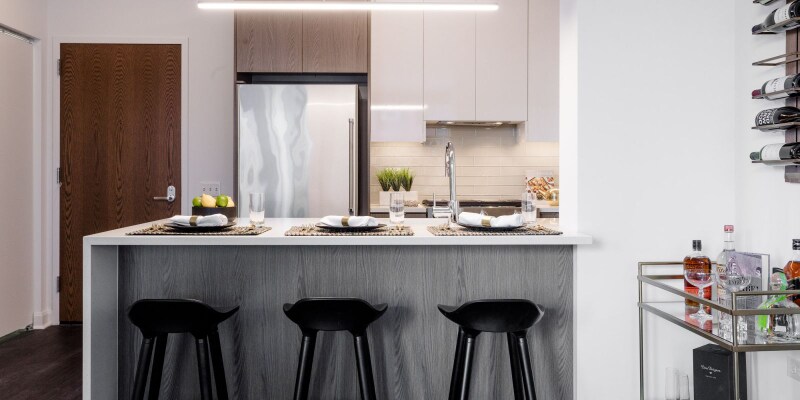 909 W Altgeld St in Chicago, IL - Foto de edificio