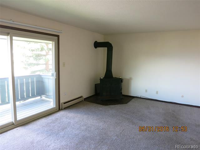 1253 Straight Creek Dr in Dillon, CO - Building Photo - Building Photo