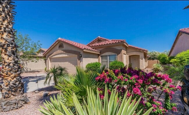 13502 W Young St in Surprise, AZ - Foto de edificio - Building Photo