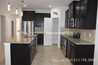 33163 Sand Creek Dr in Wesley Chapel, FL - Building Photo - Building Photo
