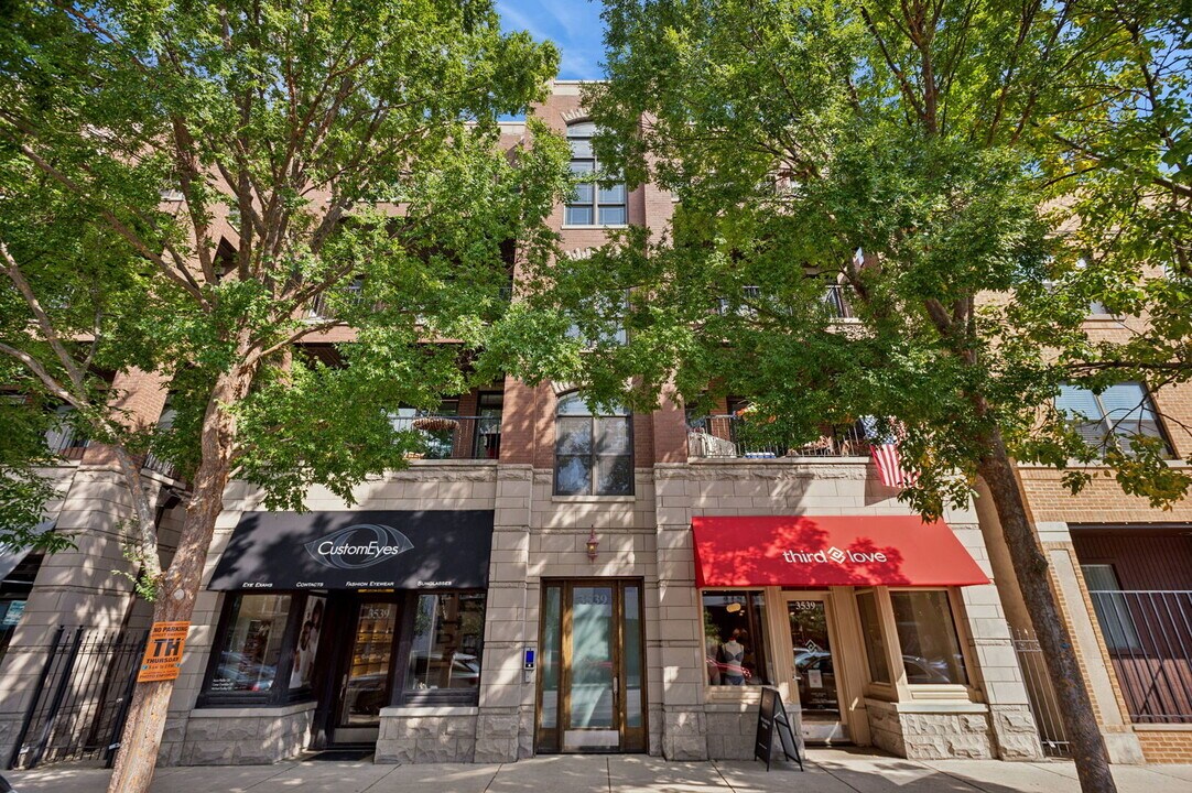 3539 N Southport Ave in Chicago, IL - Building Photo