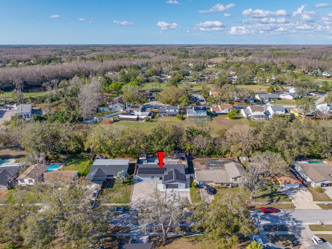 16324 Bonneville Dr in Tampa, FL - Building Photo - Building Photo