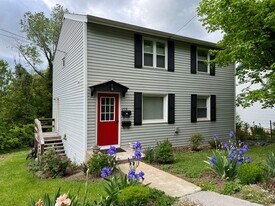 208 N Lewis St in Lexington, VA - Building Photo