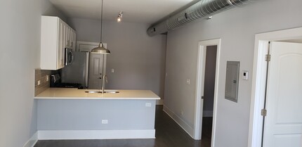 2030 W 21st St, Unit #1R in Chicago, IL - Building Photo - Building Photo