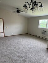 1508 Spring Brook Ct, Unit 3A in Round Lake Beach, IL - Building Photo