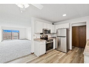 311 Pleasant Ave in St. Paul, MN - Building Photo - Building Photo