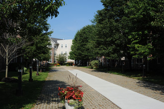 Airmont Gardens 55+ Senior Apartments in Suffern, NY - Building Photo - Building Photo