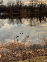 5 Round Lake Trail in Little Canada, MN - Foto de edificio - Building Photo