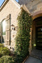 117 Hunter Hollow Pl in Montgomery, TX - Building Photo - Building Photo
