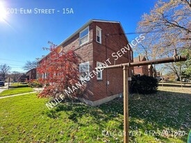 201 Elm St in Pittsburgh, PA - Building Photo