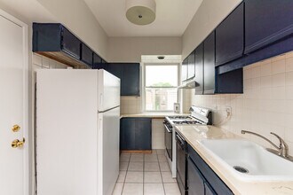 1325 W Addison St in Chicago, IL - Building Photo - Building Photo