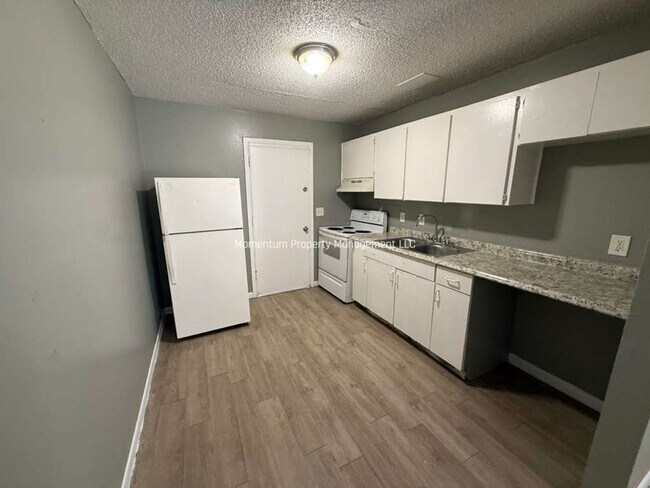 8218 N Elmer St in Tampa, FL - Building Photo - Building Photo