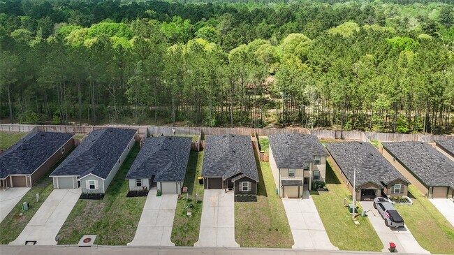 12339 McCrorey Trails Court in Conroe, TX - Building Photo - Building Photo