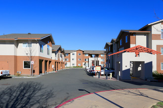 Rowan Court Apartments in Santa Rosa, CA - Building Photo - Building Photo