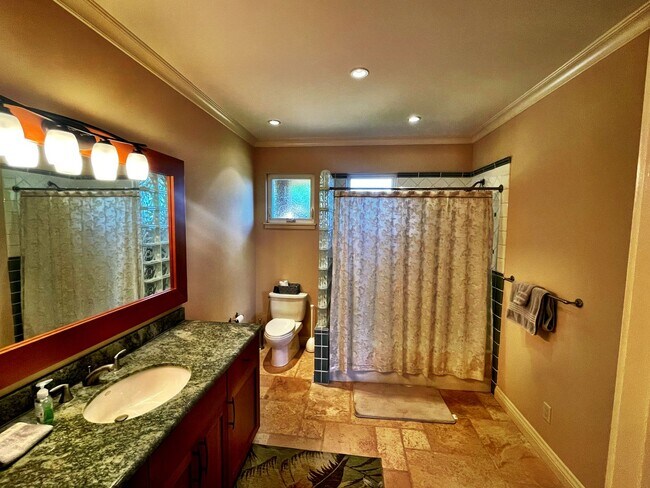 407 Wekiu Pl in Lahaina, HI - Building Photo - Building Photo