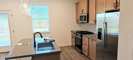 1417 Purple Martin Dr in Pflugerville, TX - Building Photo - Building Photo