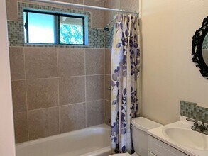 219 W Waiko Rd in Wailuku, HI - Building Photo - Building Photo