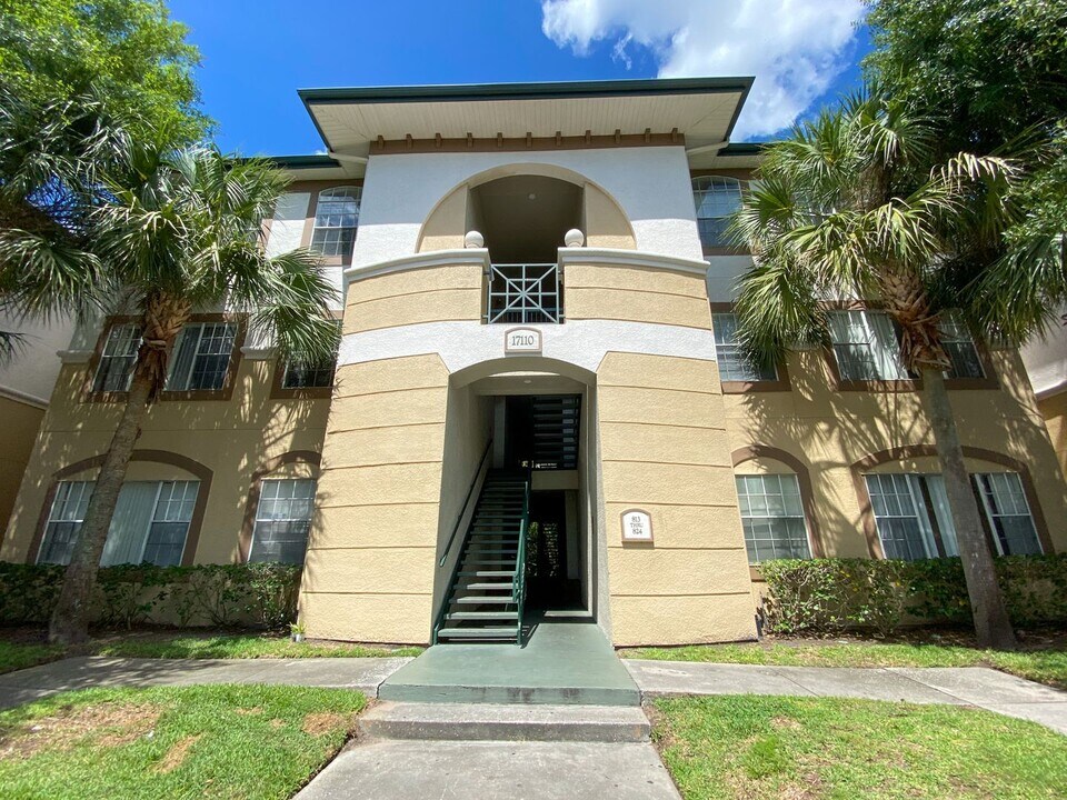 17110 Carrington Park Dr in Tampa, FL - Building Photo
