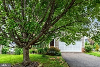 751 Holly Leaf Rd in Culpeper, VA - Building Photo - Building Photo