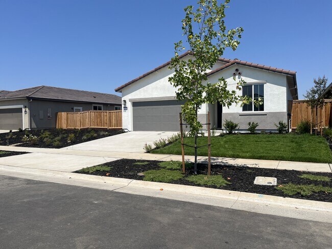 1083 Camomile Dr in Plumas Lake, CA - Building Photo - Building Photo