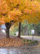 Charleston Square Townhomes in Johnson City, TN - Building Photo - Building Photo