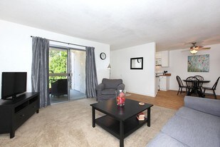 Sunrise in Biiltmore