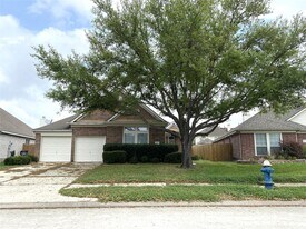 2507 Atwood Glen Ln in Houston, TX - Building Photo