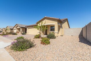 25794 W Samantha Way in Buckeye, AZ - Foto de edificio - Building Photo