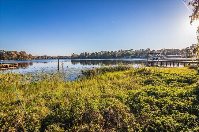 17133 Rainbow Terrace in Odessa, FL - Building Photo - Building Photo