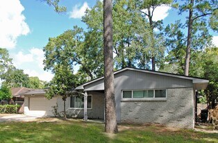 10034 Cedardale Dr in Houston, TX - Building Photo