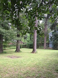 1510 Early Ln photo'