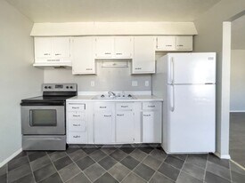 1703 E 14th St in Muncie, IN - Building Photo
