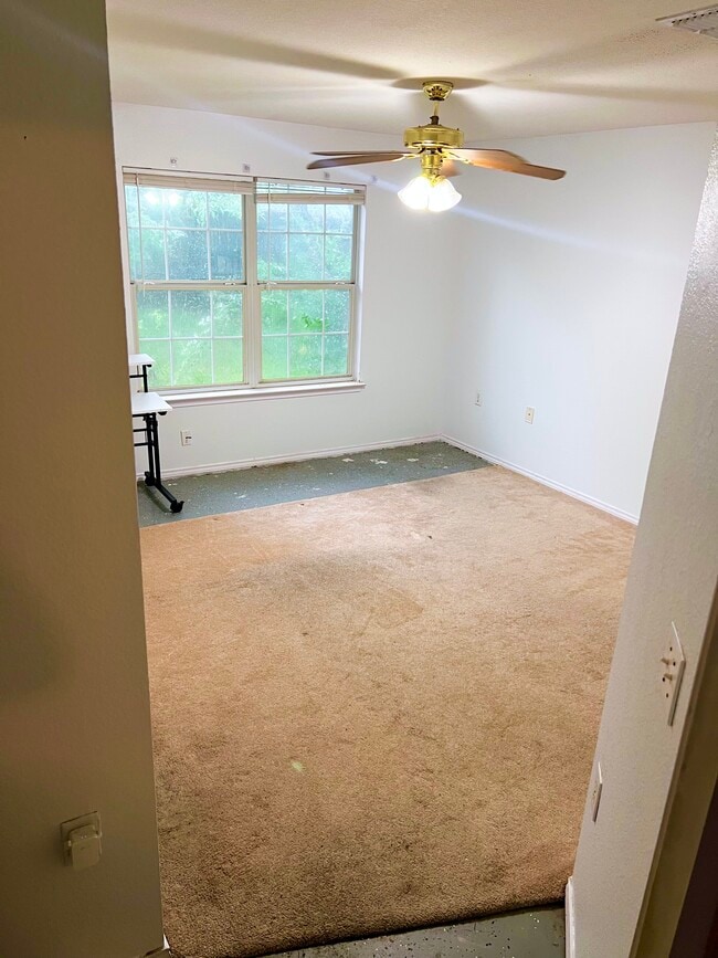 1911 Espino Cove in Austin, TX - Building Photo - Building Photo