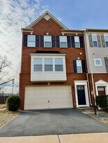 45903 Peach Oak Terrace in Sterling, VA - Building Photo