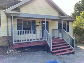 203 Correll Ln in Jonesborough, TN - Building Photo