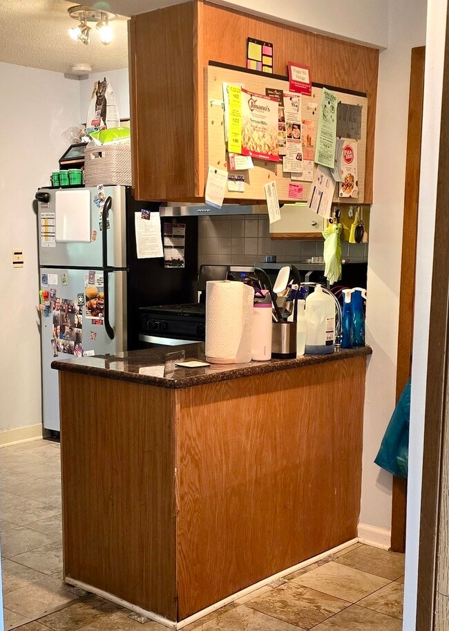 1 Cedar Ct in Vernon Hills, IL - Building Photo - Building Photo