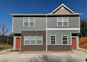 318 Bogle St in Maryville, TN - Building Photo