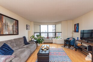 899 S Plymouth Ct in Chicago, IL - Building Photo