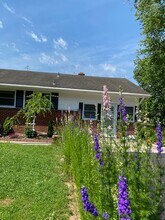 113 Malone Ave in Chestertown, MD - Building Photo - Building Photo