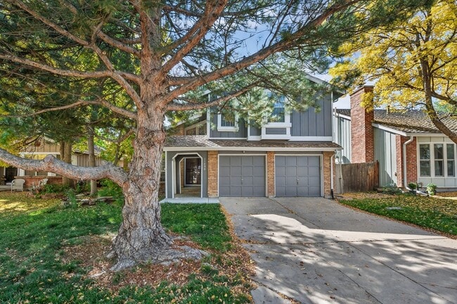 property at 11406 San Joaquin Ridge