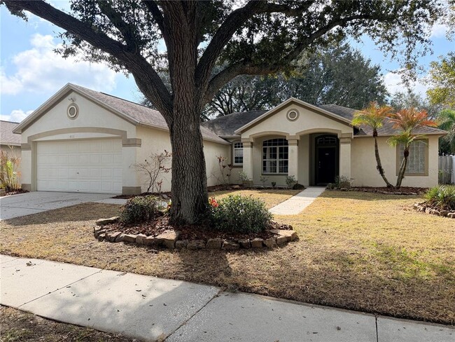 property at 4111 Amber Ridge Ln