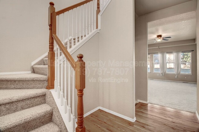8361 Winding Passage Dr in Colorado Springs, CO - Building Photo - Building Photo