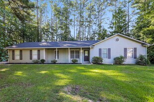 1061 Lost Ct in Hampton, GA - Building Photo