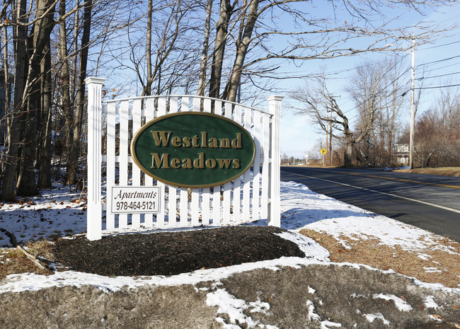 Westland Meadows in Leicester, MA - Building Photo - Building Photo