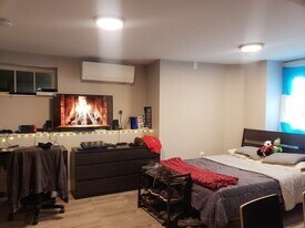 153 University Rd, Unit 1 in Brookline, MA - Building Photo