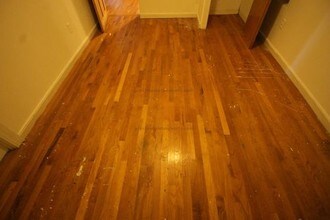 1682 Commonwealth Ave-Unit -Am in Boston, MA - Building Photo - Building Photo